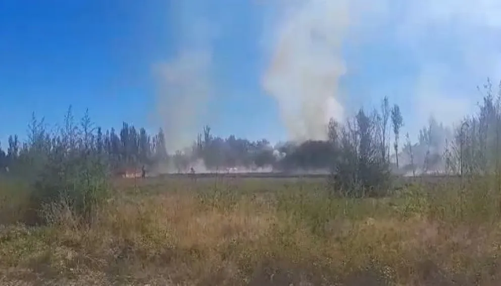 Importante incendio de pastizales en Cipolletti
