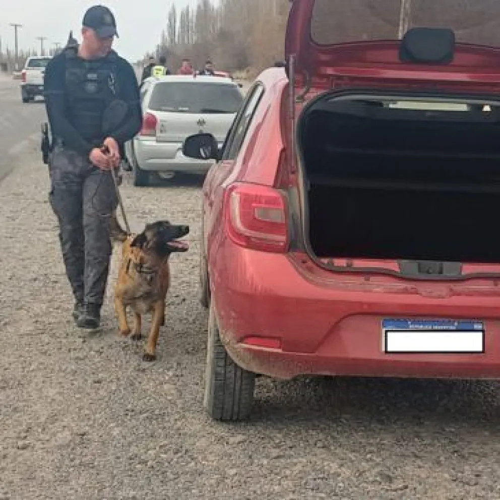 Atrapado en la ruta 22: Viajaba en colectivo con una importante suma de pesos, dólares y cocaína