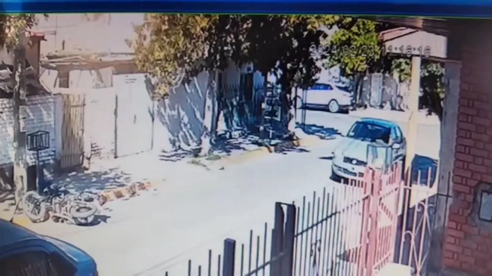 ¿Qué se le cruzó? un motociclista chocó contra un árbol en Cipolletti
