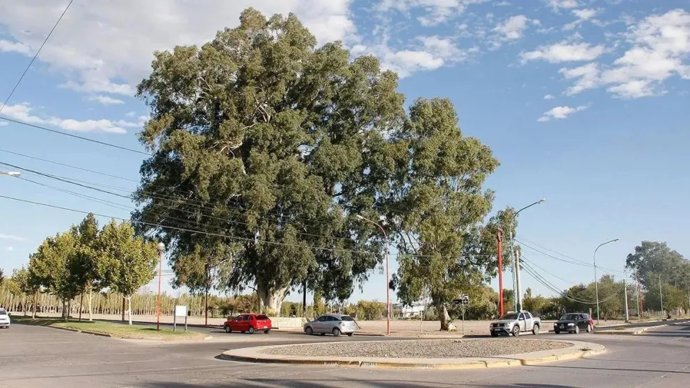 Procrear en Cipolletti: qué pasará con el proyecto habitacional de Alem y Kennedy