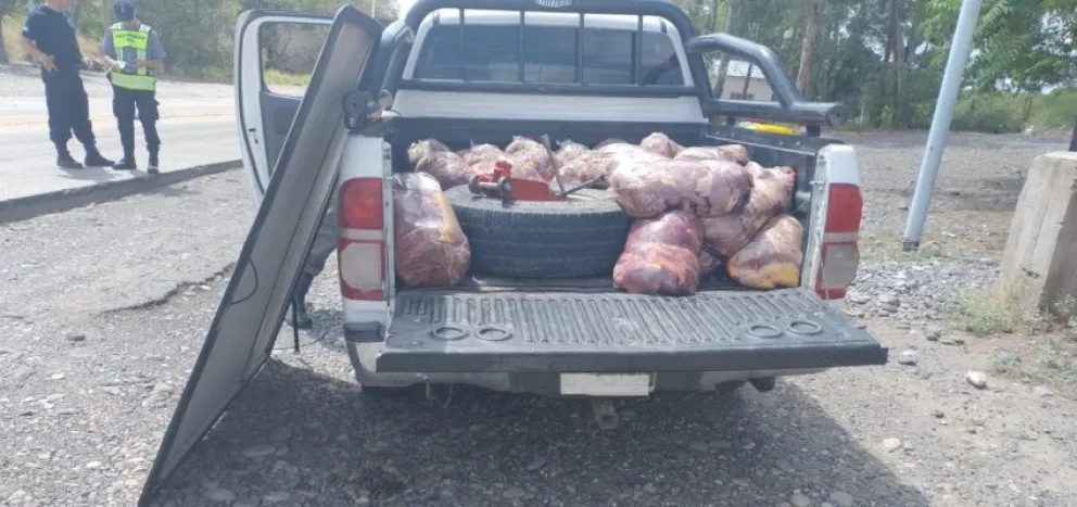 Decomisaron más de 400 kilos de carne de equino durante un operativo en Alto Valle