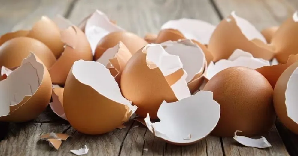 Innovador truco casero para un lavado impecable: cáscaras de huevo en el lavarropas