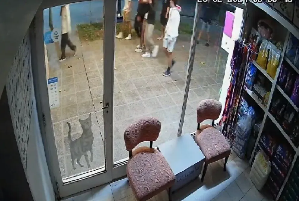 Por la madrugada un grupo de jóvenes rompieron a piedrazos un local comercial 