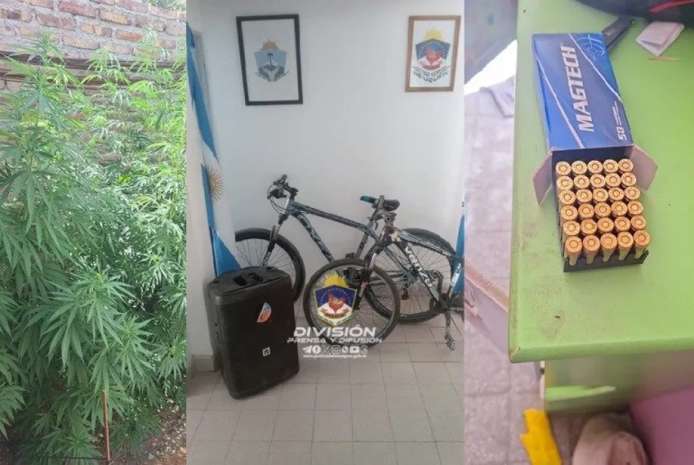 Realizaron un allanamientos y desmantelaron una red criminal