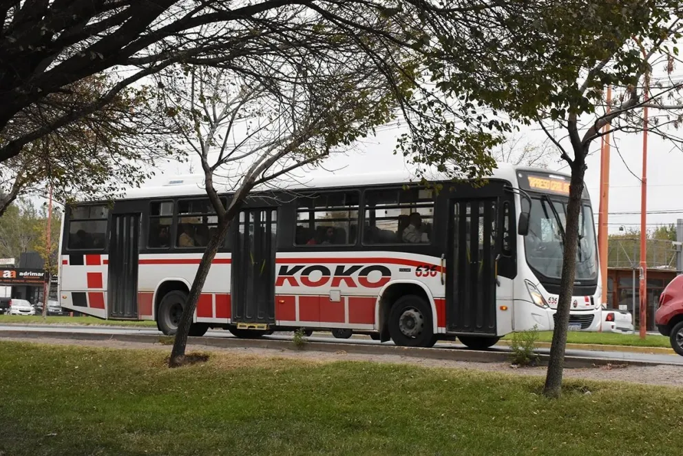 Koko sin servicio en toda la provincia