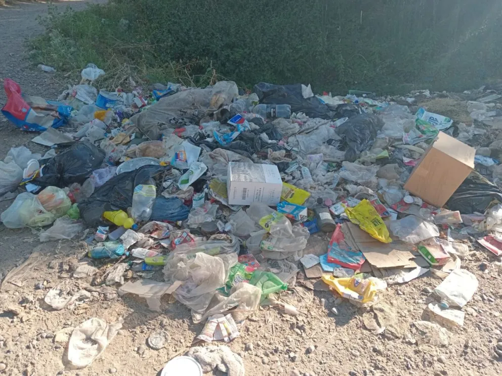 Vecinos de La Ribera reclaman por microbasurales en el sector