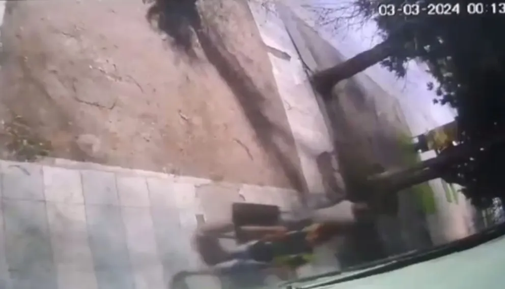 Ladrones robaron y golpearon a un perro en una fábrica de mosaicos de Cipolletti