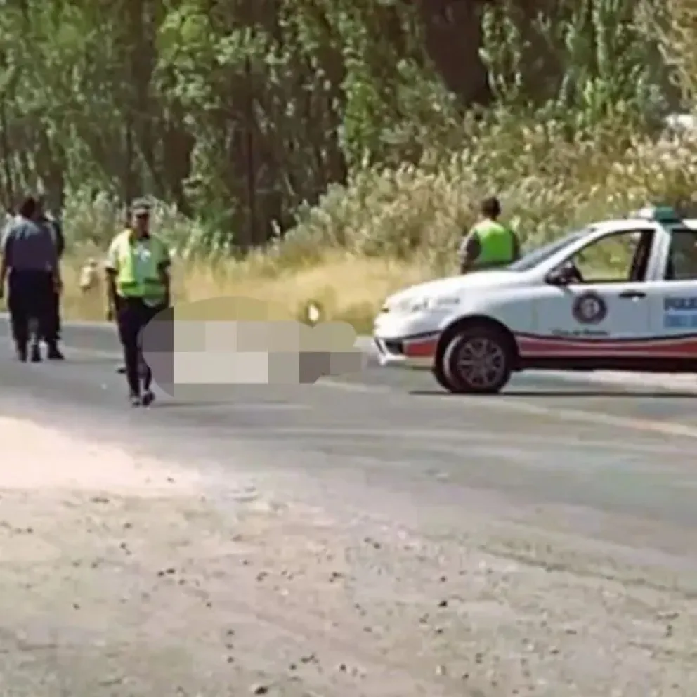 Tragedia en Ruta 22: un hombre perdió la vida tras ser atropellado por un camión