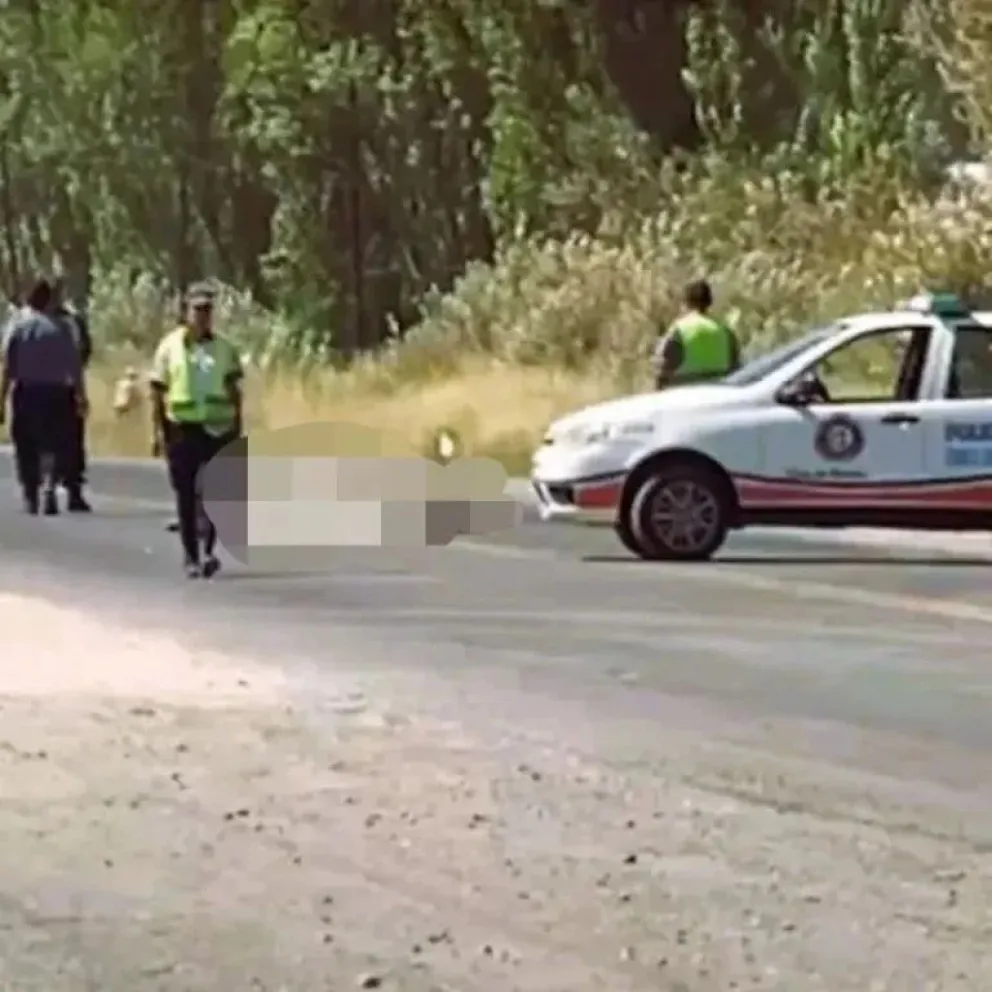 Se conoció la identidad del hombre que murió atropellado en la Ruta 22