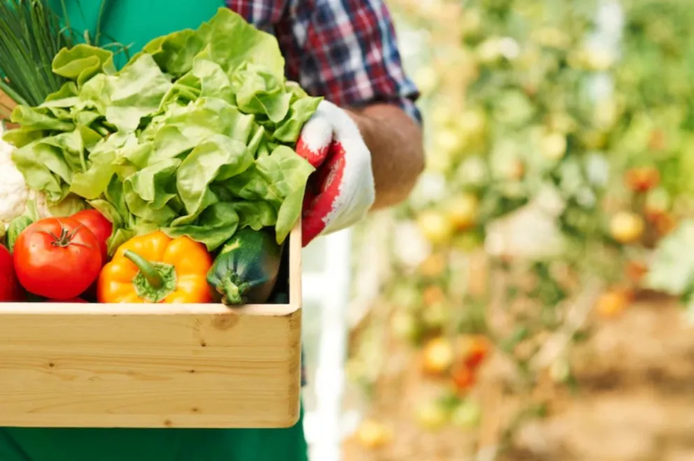 Se viene la feria de la huerta comunitaria con talleres de capacitación agro ecológica
