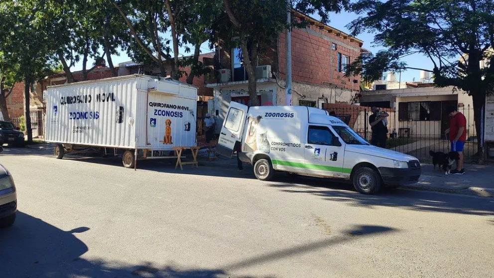 Cómo sigue el cronograma de castraciones gratuitas en la ciudad