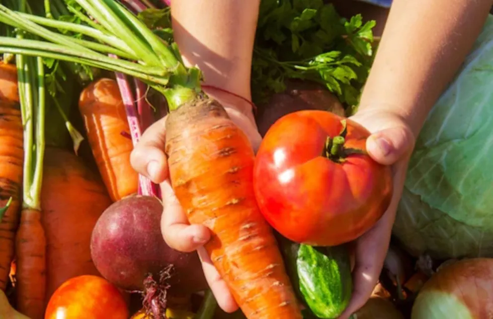 Invitan a participar de la Muestra agroecológica en La Falda