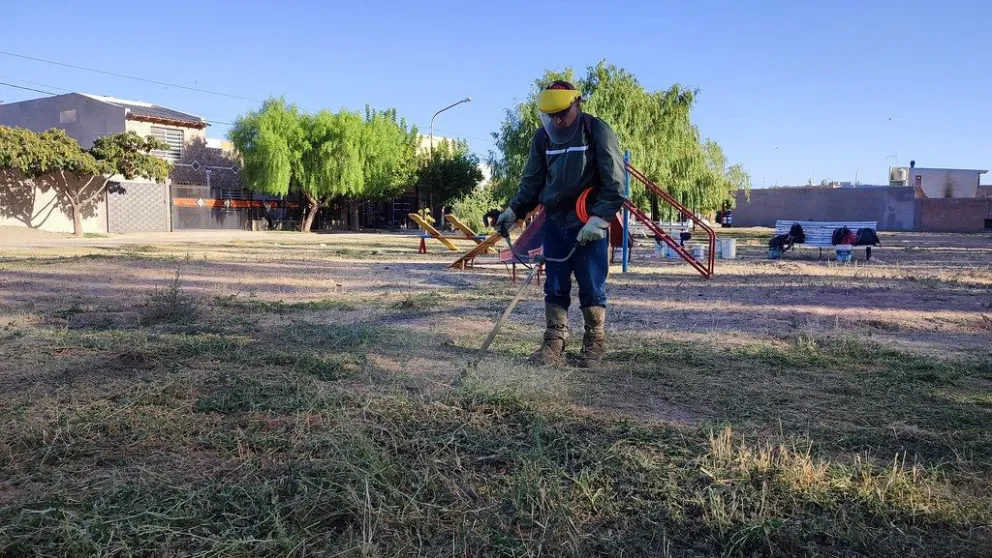 Avanzan las tareas de desmalezamiento en diferentes sectores cipoleños