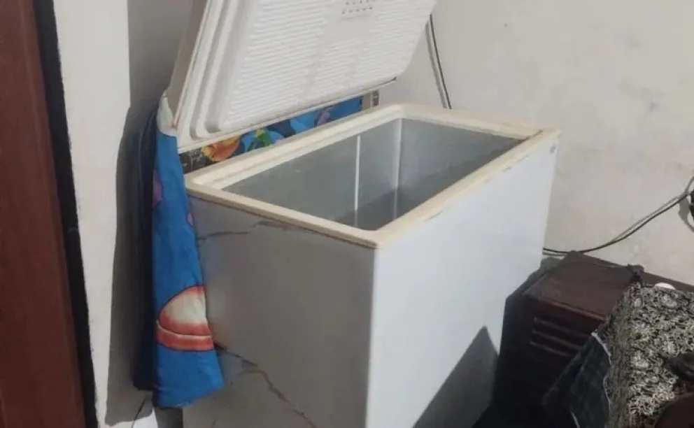Horror en Córdoba: una mujer encontró muerto dentro de un freezer a su hijo de 13 años