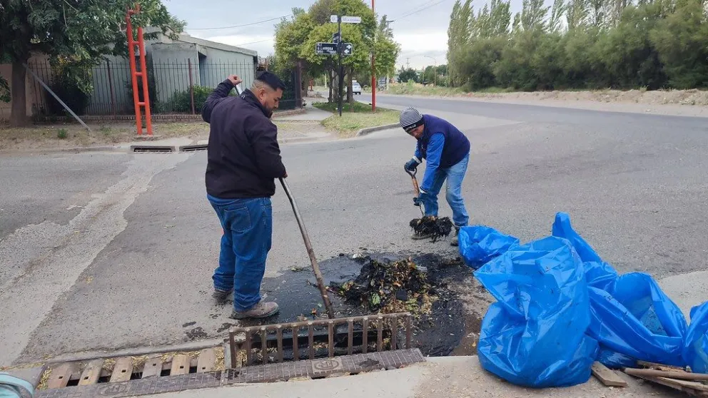Refuerzan tareas de limpieza en diferentes sistemas de Cipolletti
