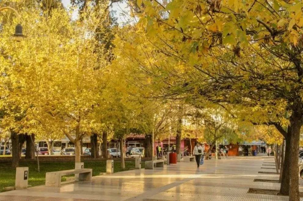 Llega el otoño: temperaturas templadas a frescas, algo de viento y el amarillo que comienza a teñir el paisaje. Foto: archivo.
