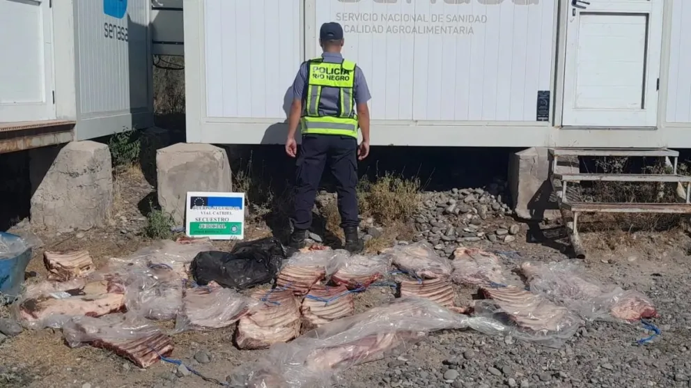 Se quedaron sin el asado de Pascua: policía decomisó más de 300 kilos de carne de faena clandestina 