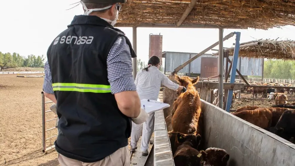 El SENASA hace paro y frena las exportaciones durante 48 horas