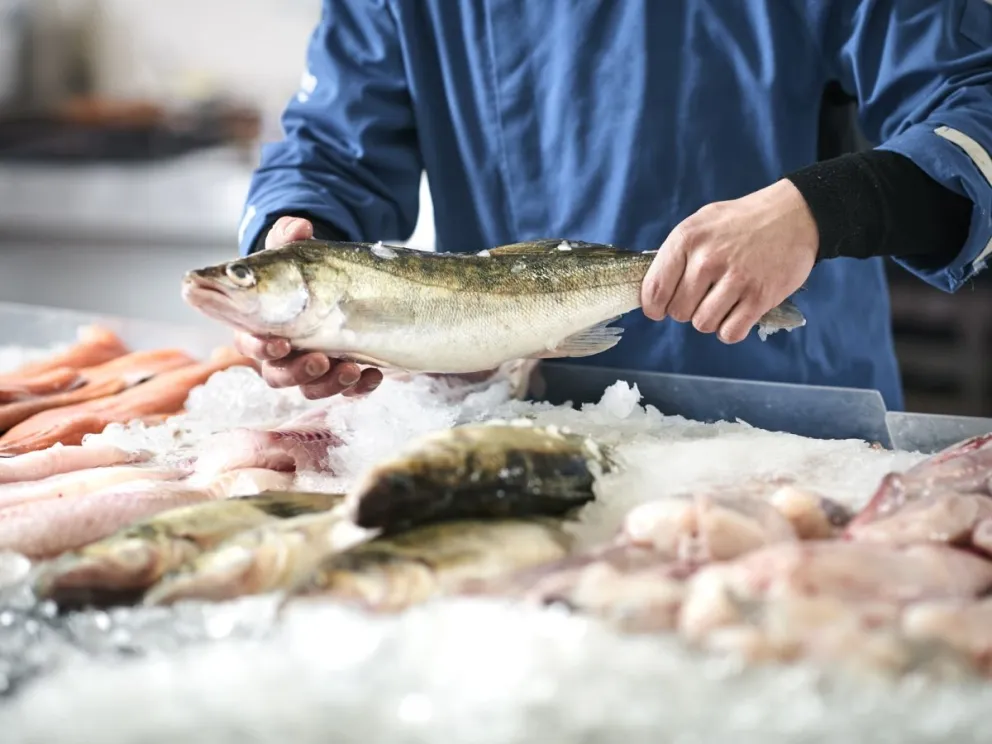 En la previa a las Pascuas, reiteran información para el consumo de pescado y productos de mar