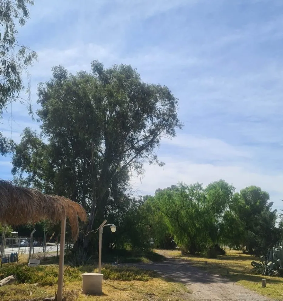 ¿Cómo estarán los días previos al feriado de Semana Santa en el Alto Valle?