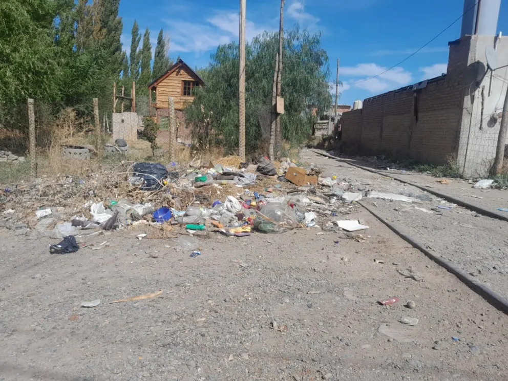 Basurales en Ferri: "Las ratas muerden a los perros y hay proliferación de insectos"