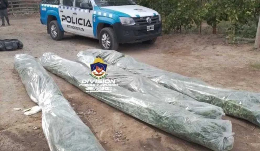 Operativo contra el narcotráfico: incautaron un arma calibre 22 y droga