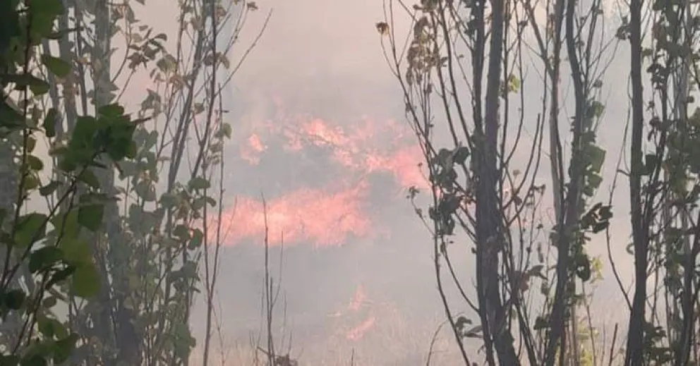 Un incendio de pastizales en una chacra generó alarma en la región