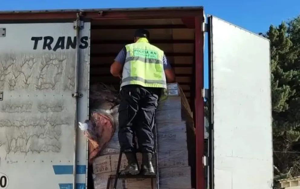 Lo atraparon mientras intentaba ingresar 88 costillares a Río Negro