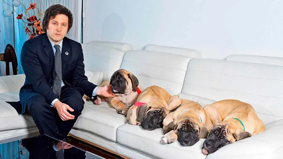 Los perros de Javier Milei se encuentran en la Quinta de Olivos: quiénes y cuántos son