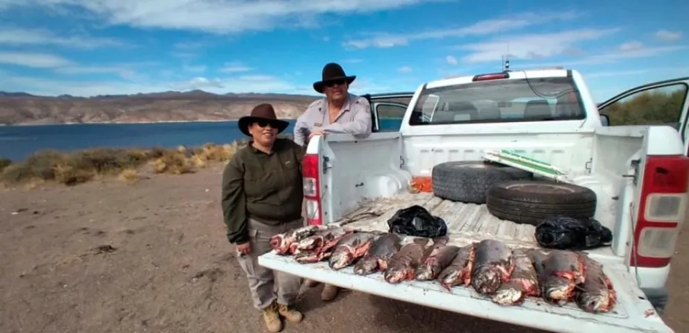 Se labraron más de 100 infracciones por pesca y caza ilegal en la región durante el fin de semana largo