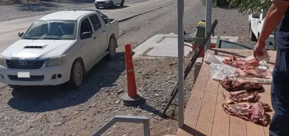 Decomisaron 100 kilos de carne que tenían como destino final la ciudad de Cipolletti 