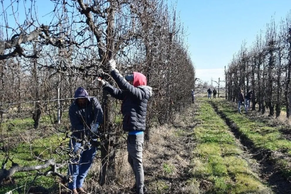 Aumento del 12% en los sueldos de los trabajadores rurales