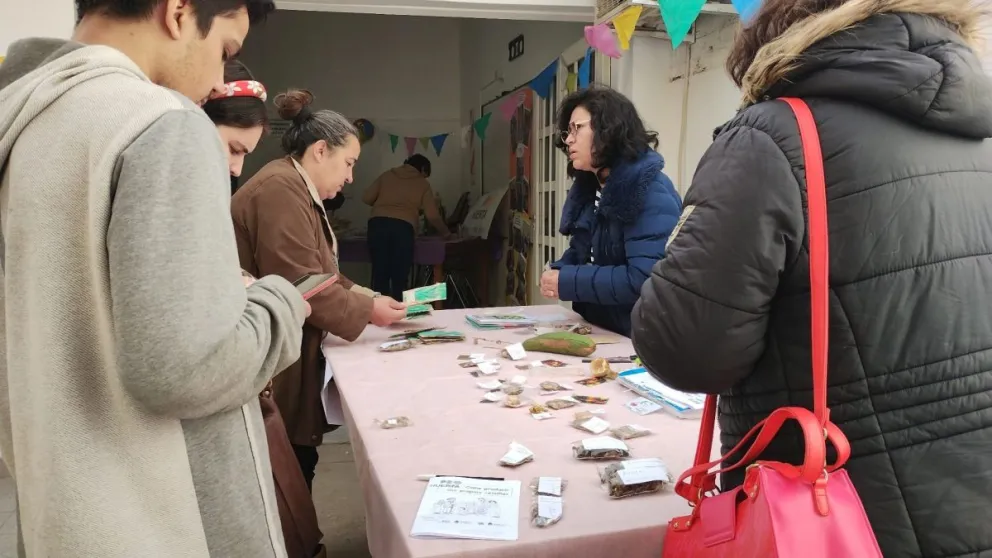 ¡A preparar macetas y cajones de huertas! Arranca la entrega de semillas en barrios cipoleños