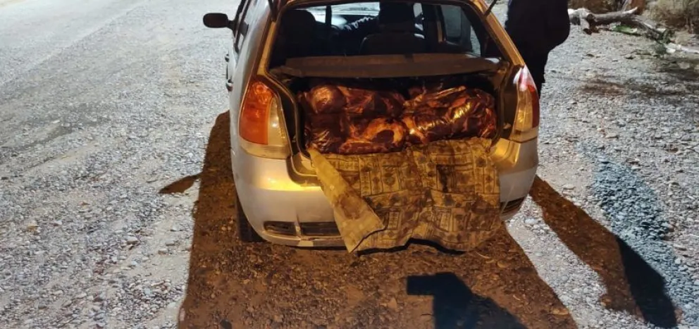 ¡Qué insistidores! Policía rionegrina realizó otro decomiso de carne equina 