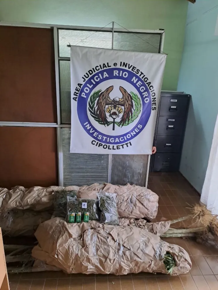 La policía secuestro 10 plantas de marihuana en Cipolletti 