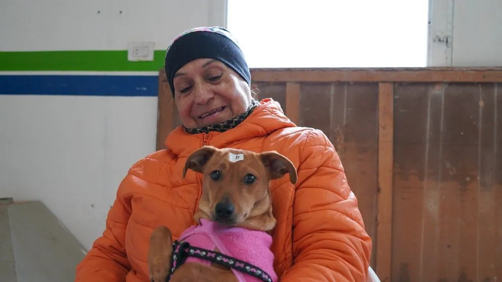 Una oportunidad para el bienestar animal: conoce el cronograma de castraciones gratuitas del mes de julio  en Cipolletti
