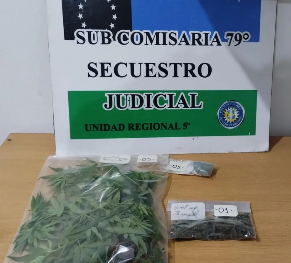 Desarticularon a una banda de ladrones en un operativo de gran magnitud
