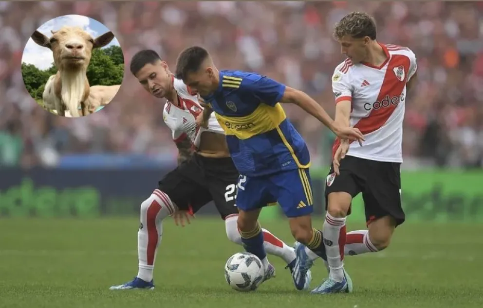 Insólita pasión futbolera: robó una chiva debido a una apuesta por el superclásico de River y Boca 