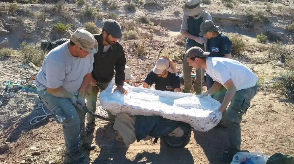 Un dinosaurio que vivió hace 90 millones de años fue encontrado en la región