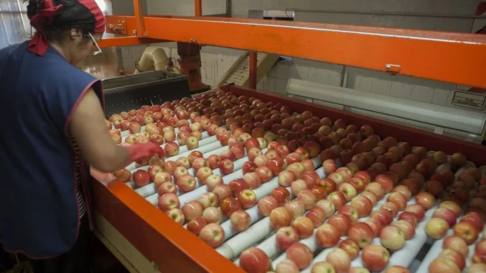 Trabajo de Nación convocó a una nueva reunión paritaria entre la CAFI y los trabajadores de la fruta