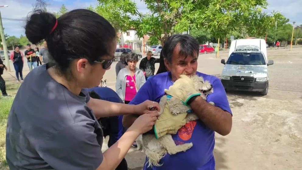 “Día del animal”: la municipalidad realizará una campaña de vacunación en Parque Norte