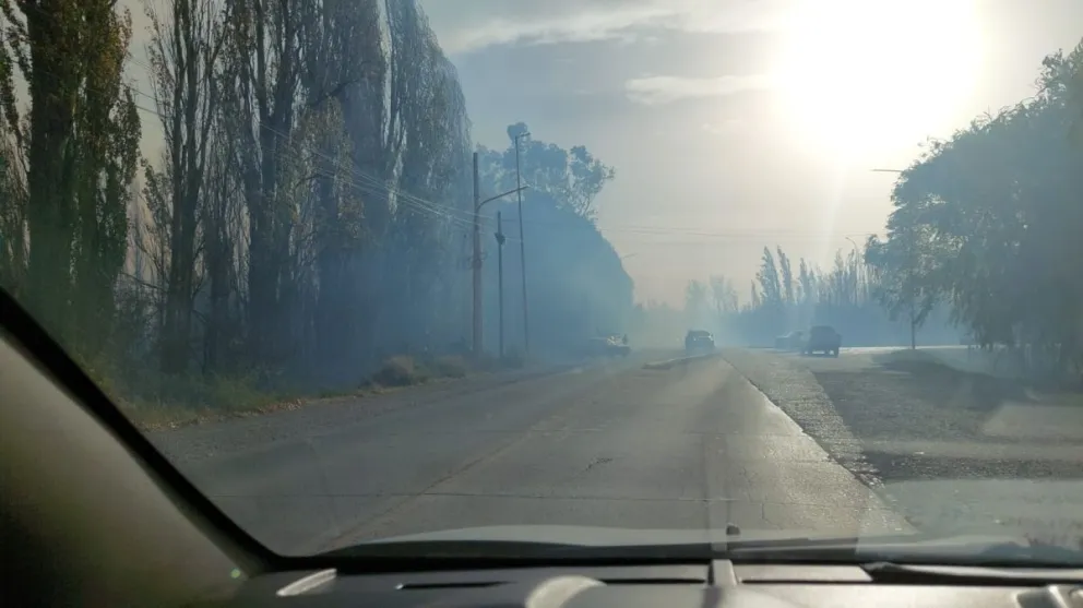Incendio generó grandes complicaciones para transitar por Ruta 151 y entre Cinco Saltos y Centenario