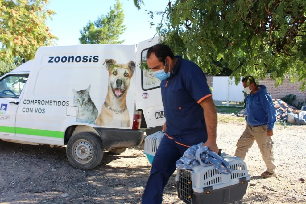 Se aplicaron 190 vacunas y realizaron 280 castraciones de mascotas durante abril