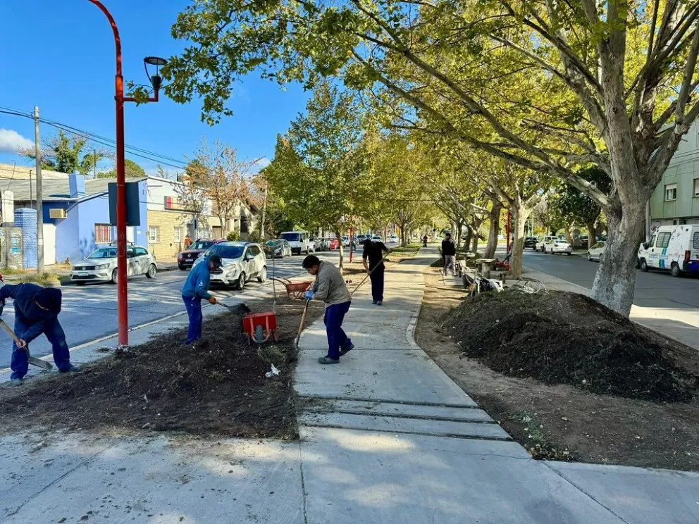 Comenzó la obra de acondicionamiento y parquización del paseo urbano de Alem