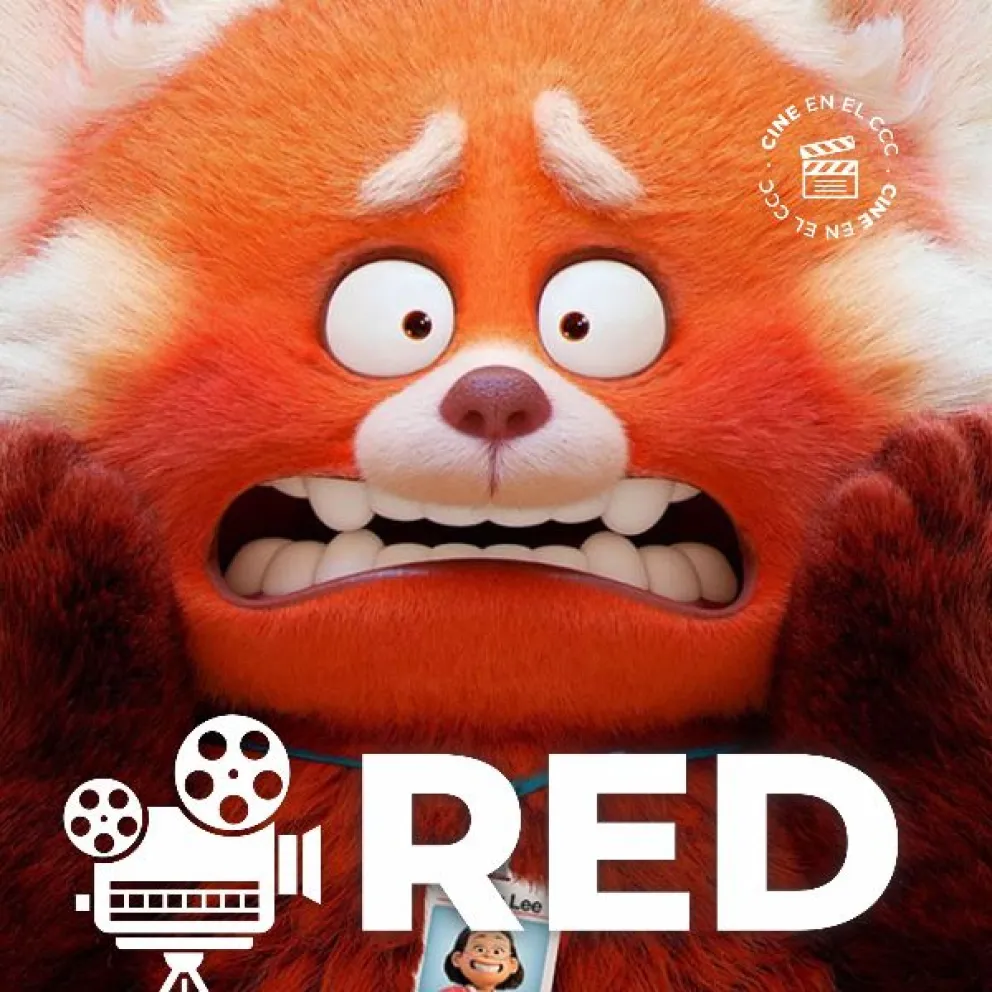Qué películas tenés en cartelera en el cine de Cipo