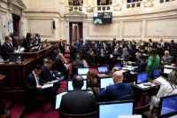 Senado retoma debate sobre Ley Bases y oficialismo admite posibles cambios