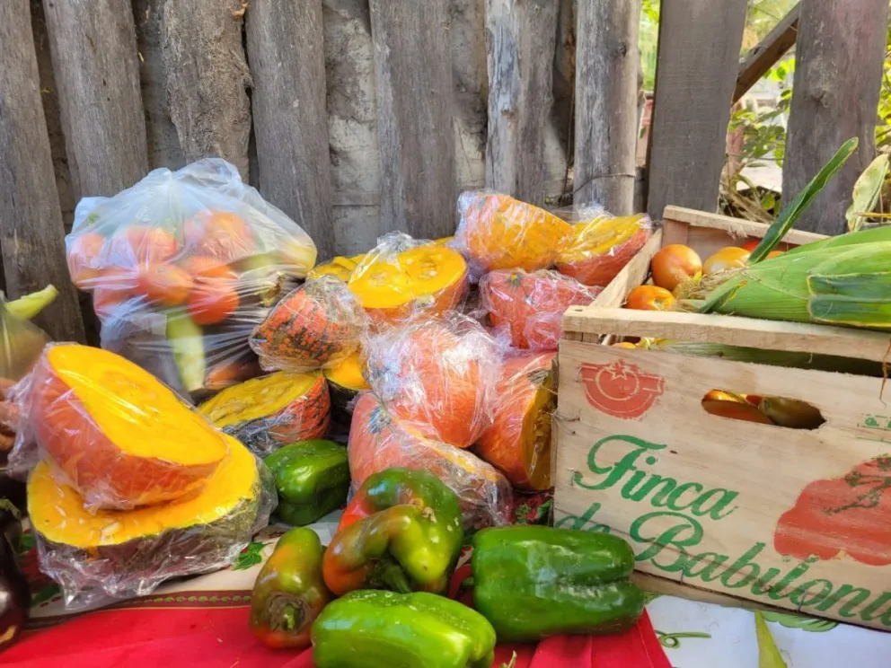 Vuelve el Corredor Productivo a la ciudad con precios imperdibles de verdura fresca