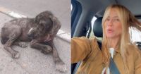 La dulce historia de amor entre Nicole Neumann y su nueva perrita adoptada