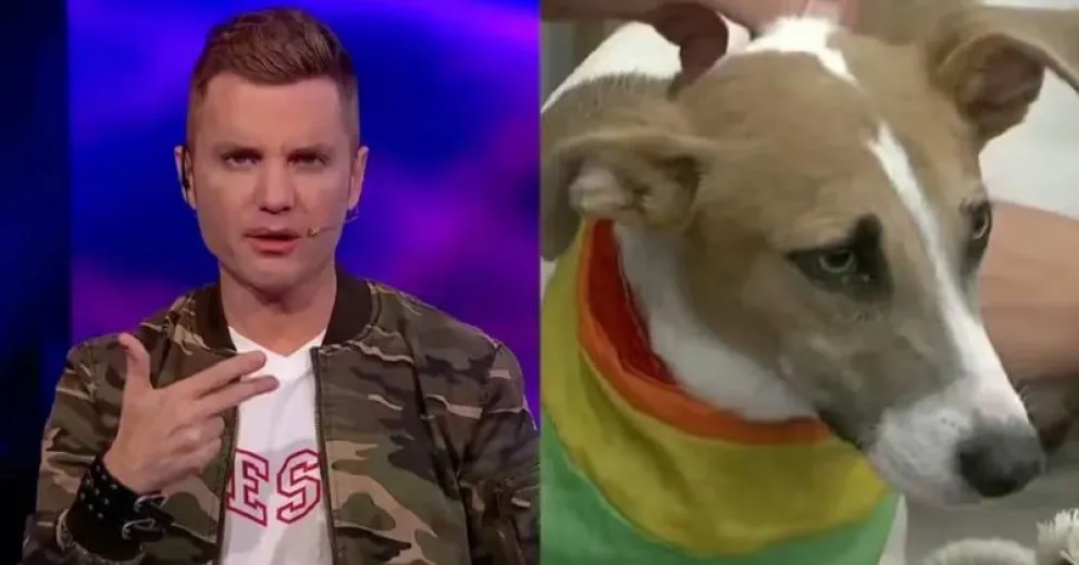 Polémicas en Gran Hermano: Santiago del Moro respondió a las críticas y el debate por el perro Arturo
