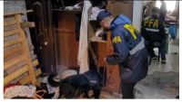 Desmantelaron una red de narcotráfico en Cipolletti tras un operativo policial